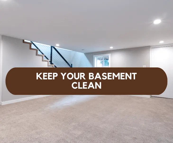 How to Get Moisture Out of Basement Without a Dehumidifier?