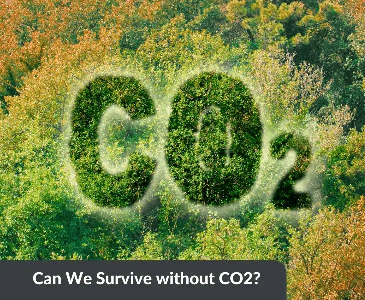 Is Carbon Dioxide a Pollutant or Not? (Little Known Facts)