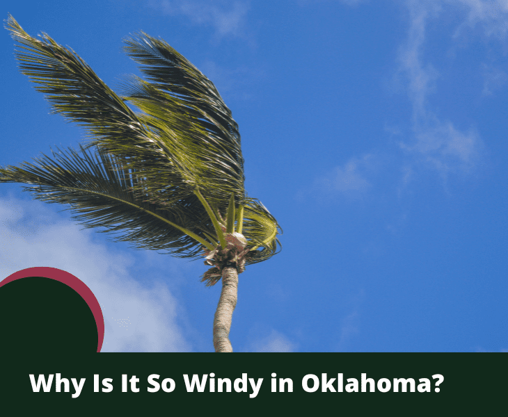 Why Is It So Windy in Oklahoma? (Main Reasons!)