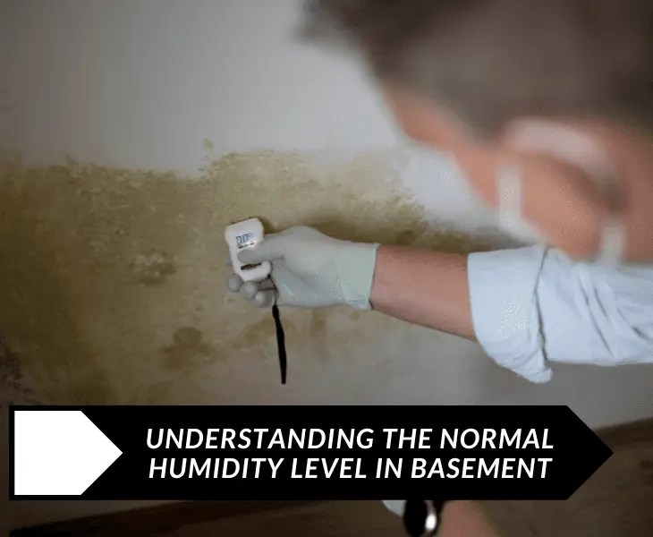 Is 60 Humidity Too High for a Basement? (Must Read!)