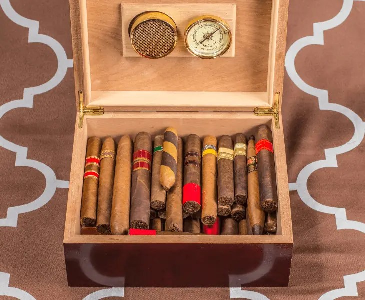 Learn How to Lower Humidity in Humidor? (Best Ways!)