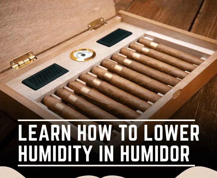 Learn How to Lower Humidity in Humidor? (Best Ways!)