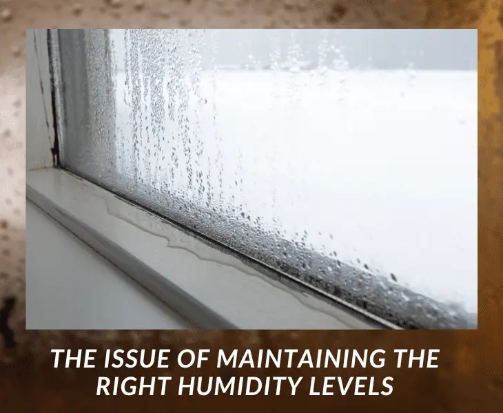 Is 60 Humidity Too High for a Basement? (Must Read!)