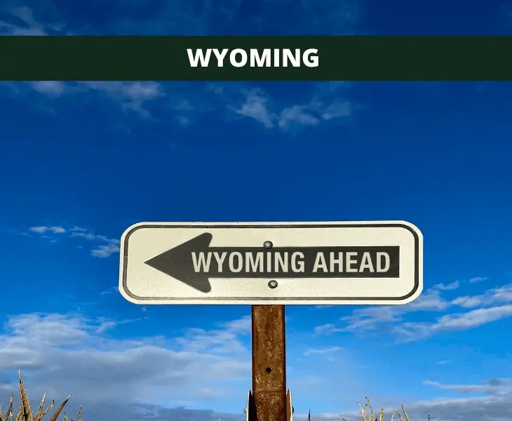 Why Is It So Windy in Oklahoma? (Main Reasons!)