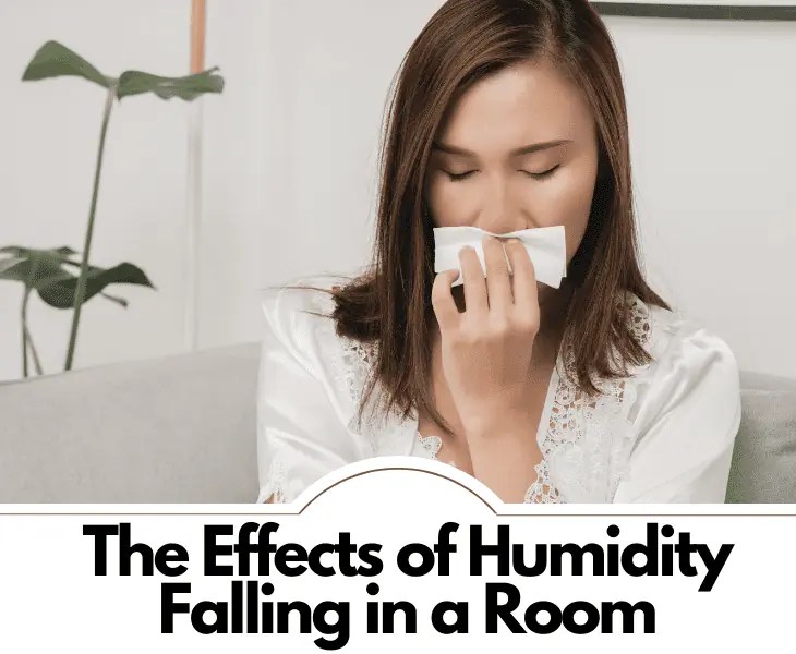Does Humidity Rise or Fall in a Room? (The Truth!)