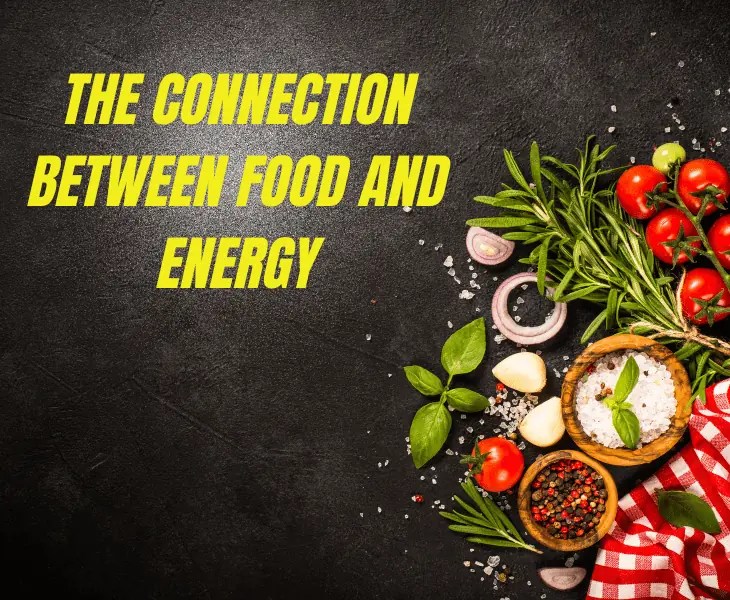 How is Energy Associated with Food Stored? (Top Facts!)