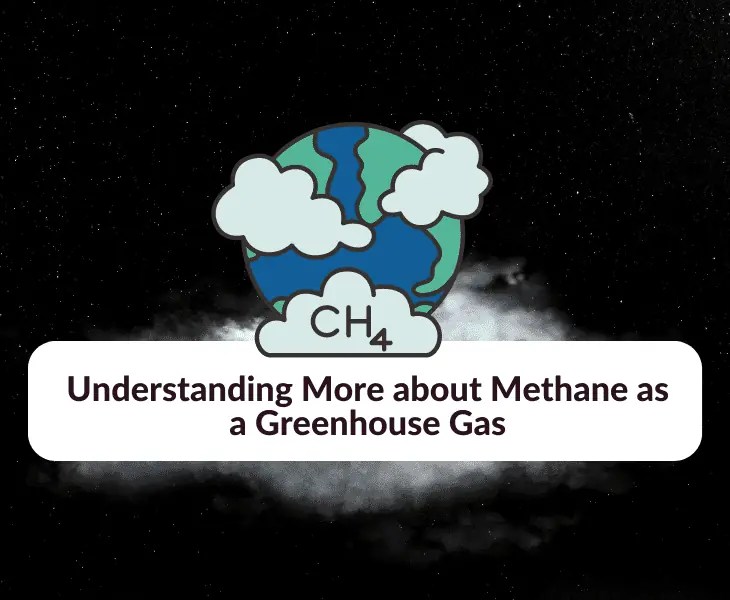 Why Is Methane Worse than CO2? (All You Need to Know!)