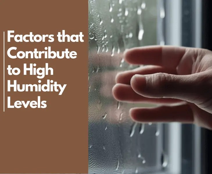 Does Humidity Rise or Fall in a Room? (The Truth!)