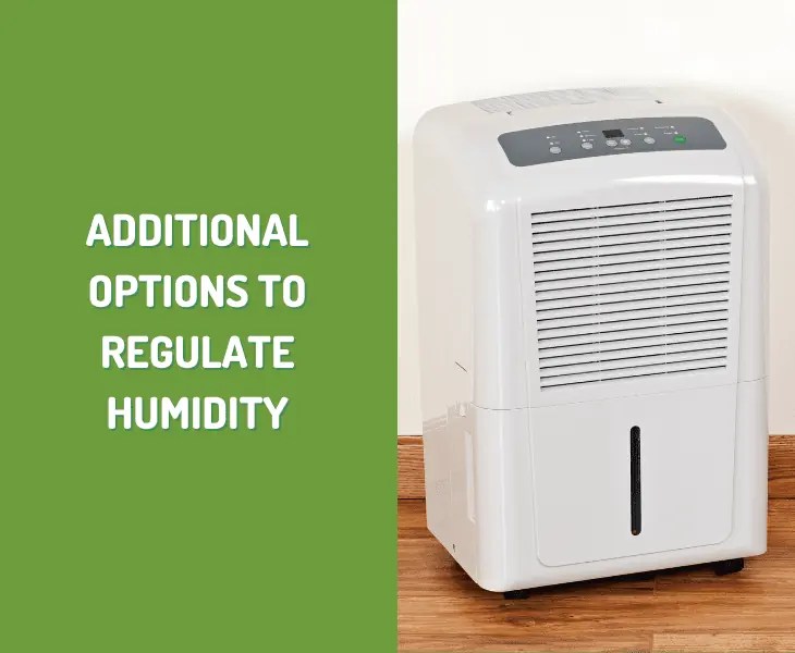 What Should Inside Humidity Be in Summer? (Explained!)