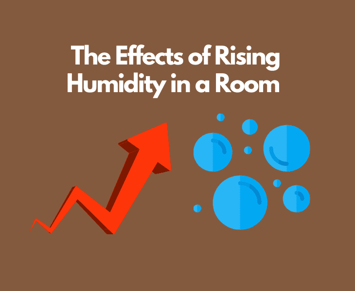 Does Humidity Rise or Fall in a Room? (The Truth!)