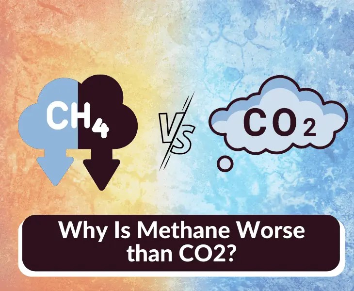 Why Is Methane Worse than CO2? (All You Need to Know!)