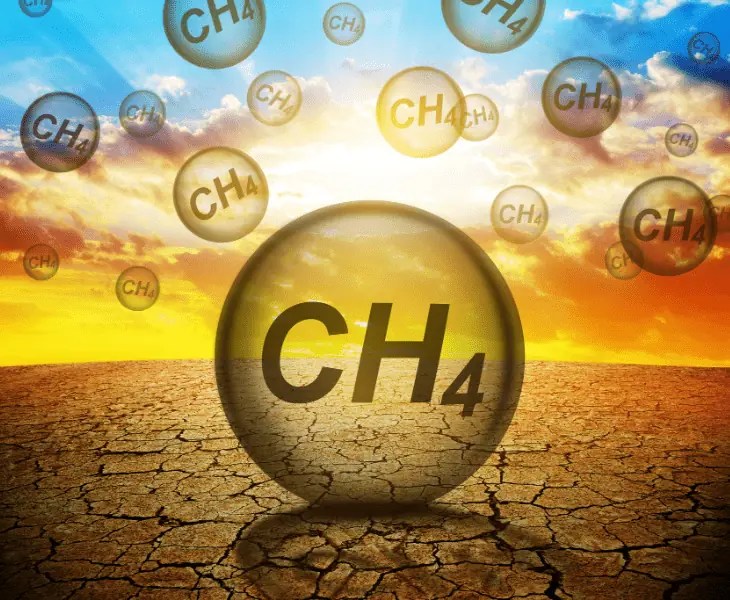Why Is Methane Worse than CO2? (All You Need to Know!)