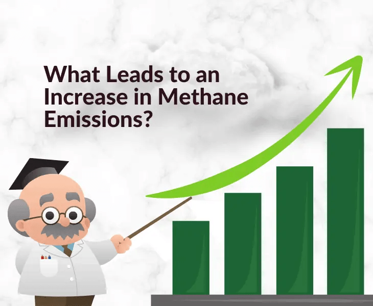 Why Is Methane Worse than CO2? (All You Need to Know!)