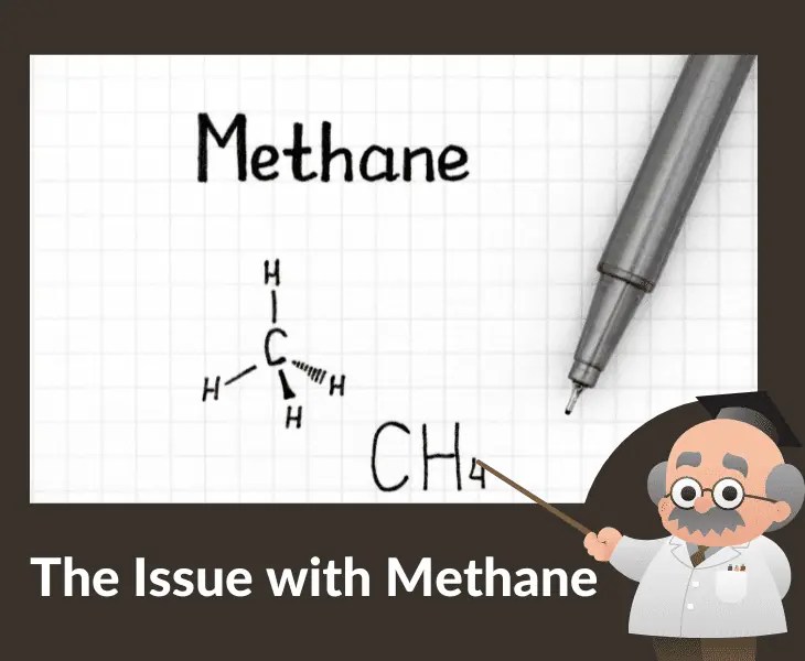 Why Is Methane Worse than CO2? (All You Need to Know!)