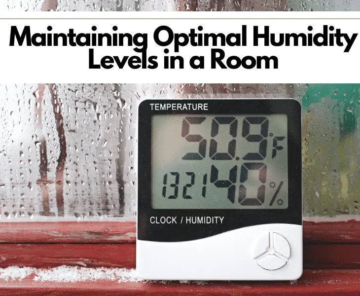 Does Humidity Rise or Fall in a Room? (The Truth!)