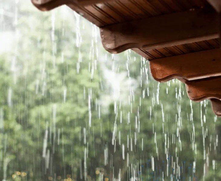 Does Rain Affect WiFi? (All You Need to Know!)