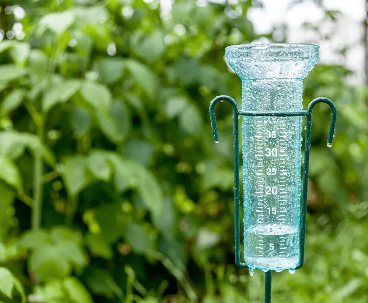 How Accurate Are Rain Gauges? (Facts Revealed!)