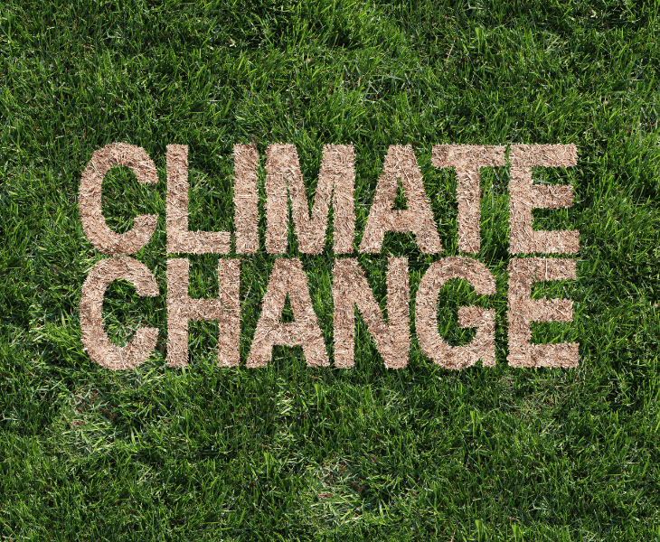 Why Is Indiana So Humid? (Let's Find The Answer!)