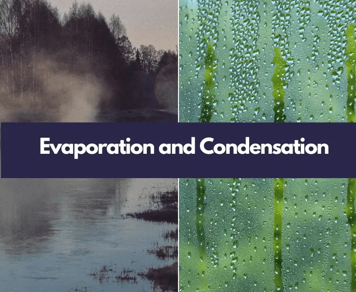 How Does Humidity Affect Temperature in a House? (Facts!)