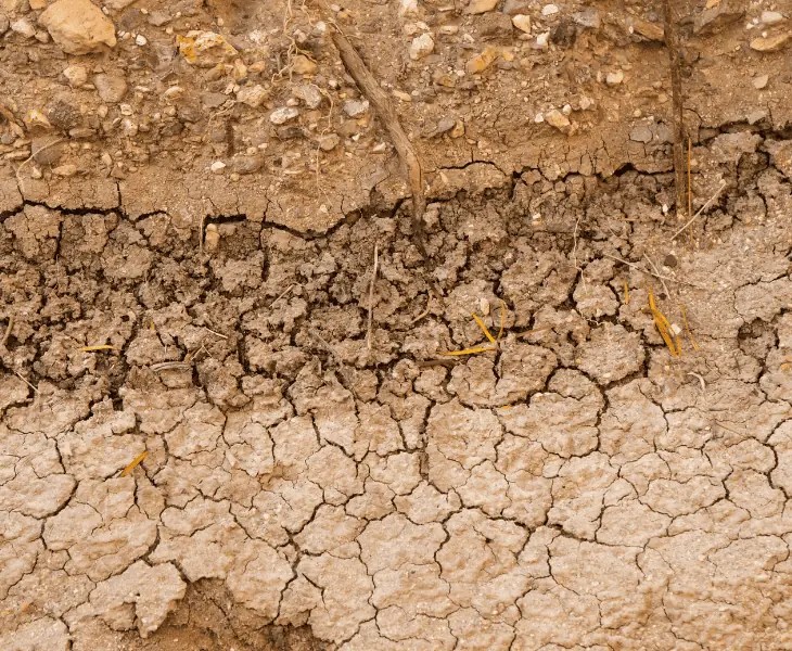 How Does Precipitation Affect the Rate of Erosion? (Facts)