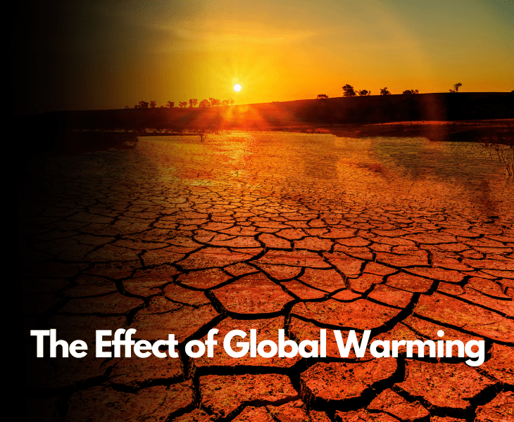 What Does Purple Mean on the Weather Map? (Explained)