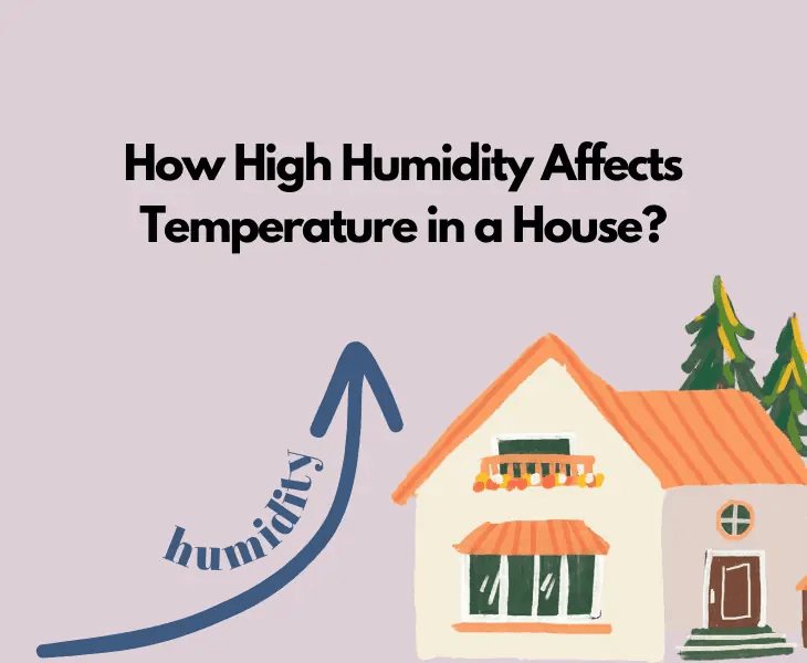 How Does Humidity Affect Temperature in a House? (Facts!)