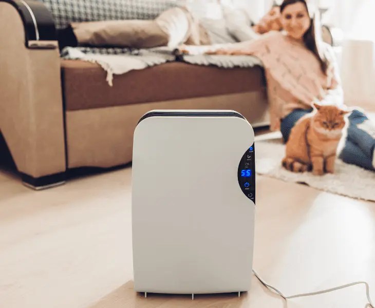 How Does Humidity Affect Temperature in a House? (Facts!)