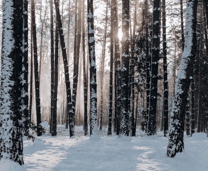 Why Does the Power Go Out During a Storm? (Know Here!)