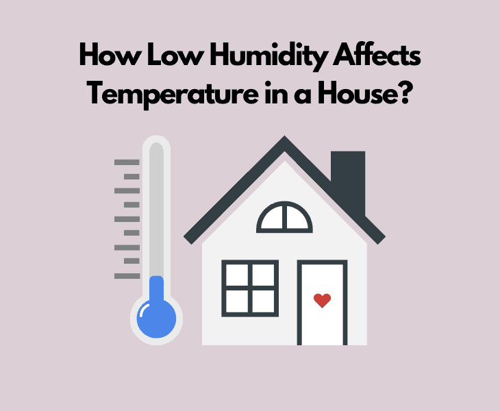 How Does Humidity Affect Temperature in a House? (Facts!)