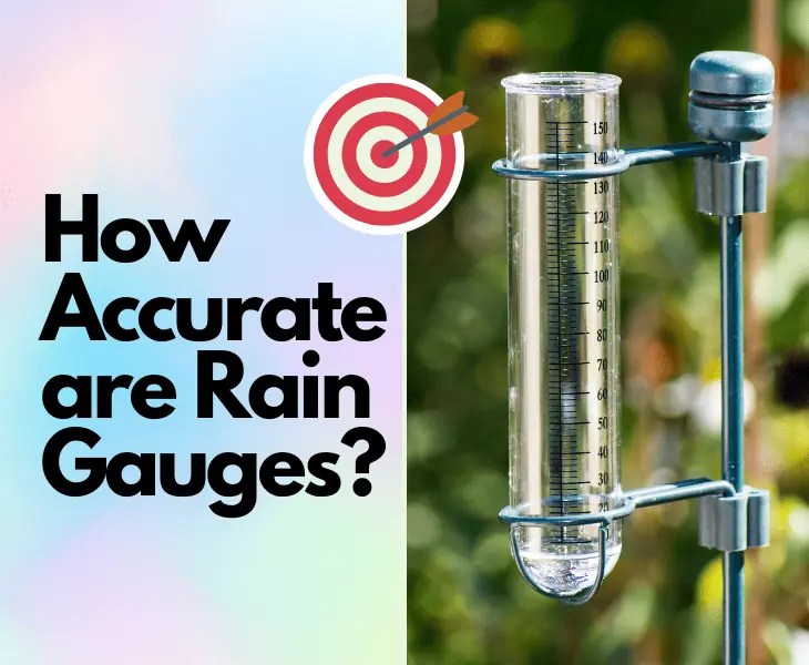 How Accurate Are Rain Gauges? (Facts Revealed!)