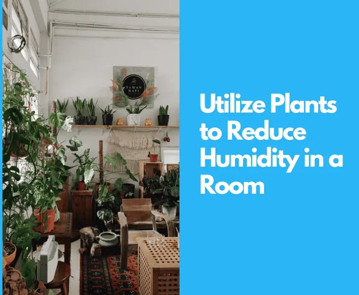 How to Reduce Humidity in a Room Naturally? (Best Ways!)