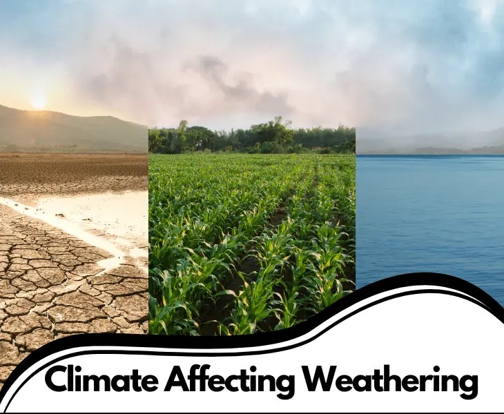 How Does Weathering Vary According to Climate? (Top Facts)