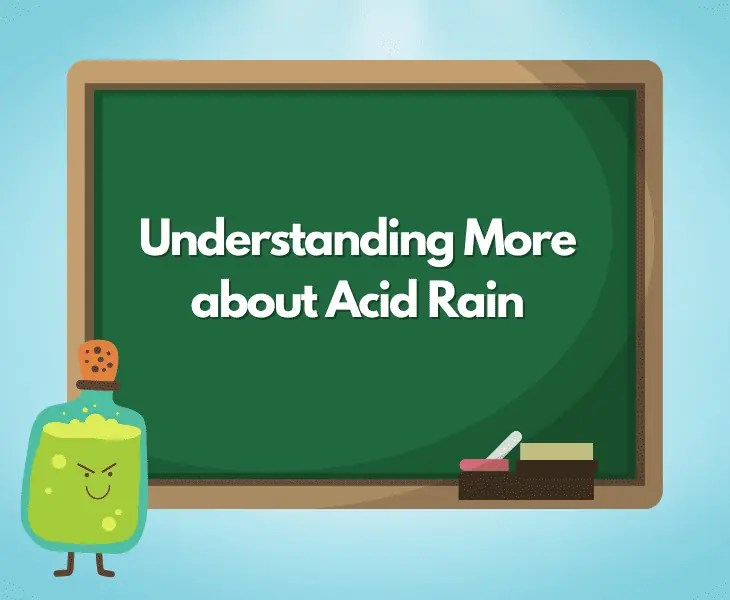 What Are the Causes of Acid Rain in Germany? (Top Facts)