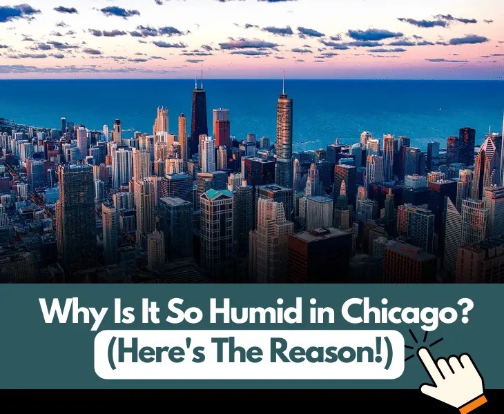 Why Is It So Humid in Chicago? (Let's Find Out!)