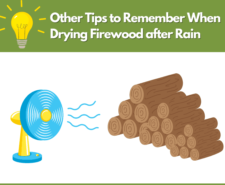 How to Dry Firewood After Rain? (Best Methods!)