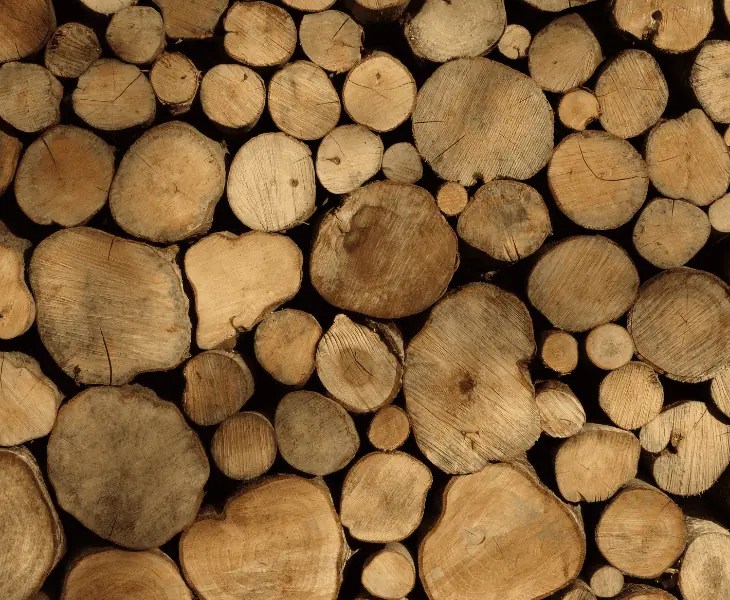 How to Dry Firewood After Rain? (Best Methods!)