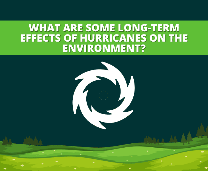 Effects of Hurricanes on The Environment (Expert Analysis)