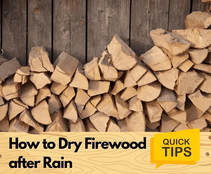 How to Dry Firewood After Rain? (Best Methods!)