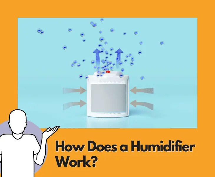 Dehumidifier Not Lowering Humidity? (Best Solutions!)