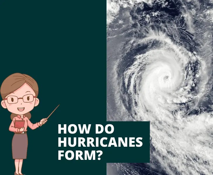 Effects of Hurricanes on The Environment (Expert Analysis)