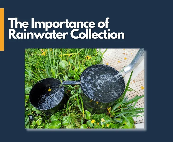 Know Why is it Illegal to Collect Rainwater in Colorado?