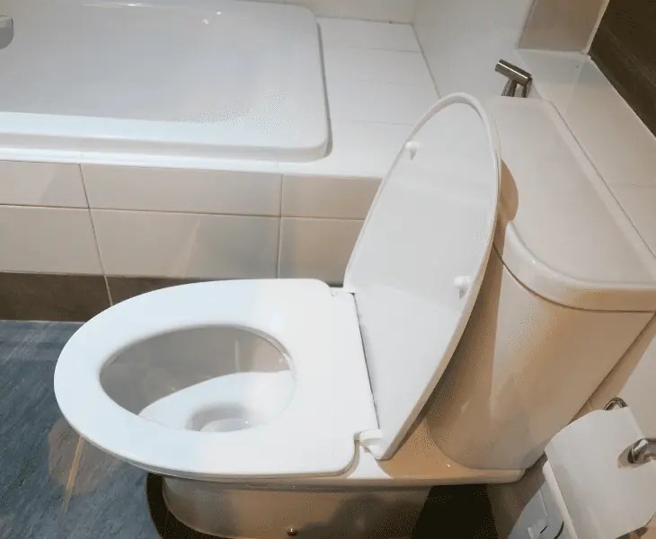 Why Does Toilet Water Move When the Wind Blows? (Facts)