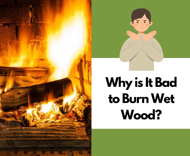 How to Dry Firewood After Rain? (Best Methods!)
