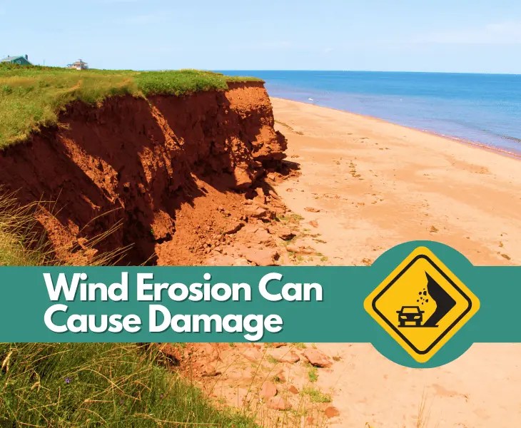 How Does Wind Change the Earth's Surface? (Explained)