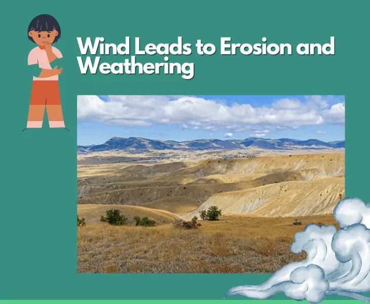 How Does Wind Change the Earth's Surface? (Explained)