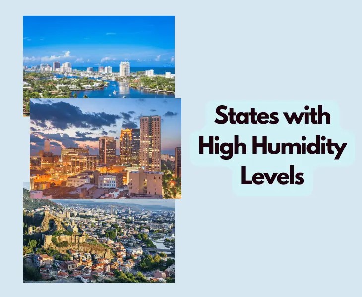 Why Is Missouri So Humid? (Top Factors!)