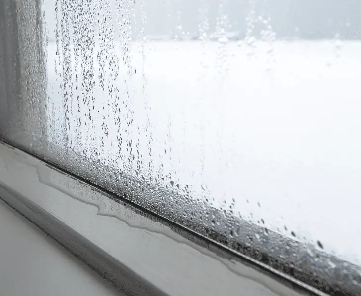 How to Test Humidity without Hygrometer? (Best Ways!)