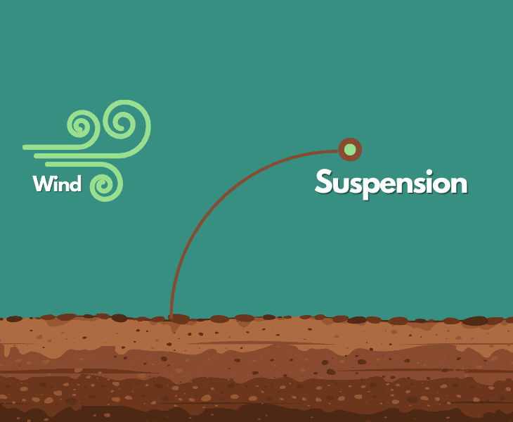 How Does Wind Change the Earth's Surface? (Explained)