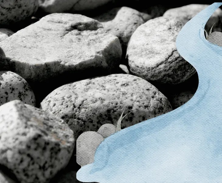 Does River Rock Absorb Water? (Detailed Analysis!)