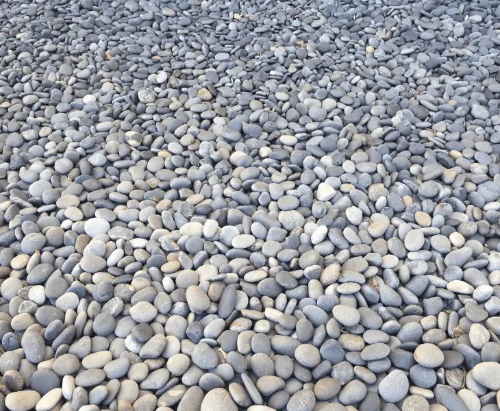 Does River Rock Absorb Water? (Detailed Analysis!)